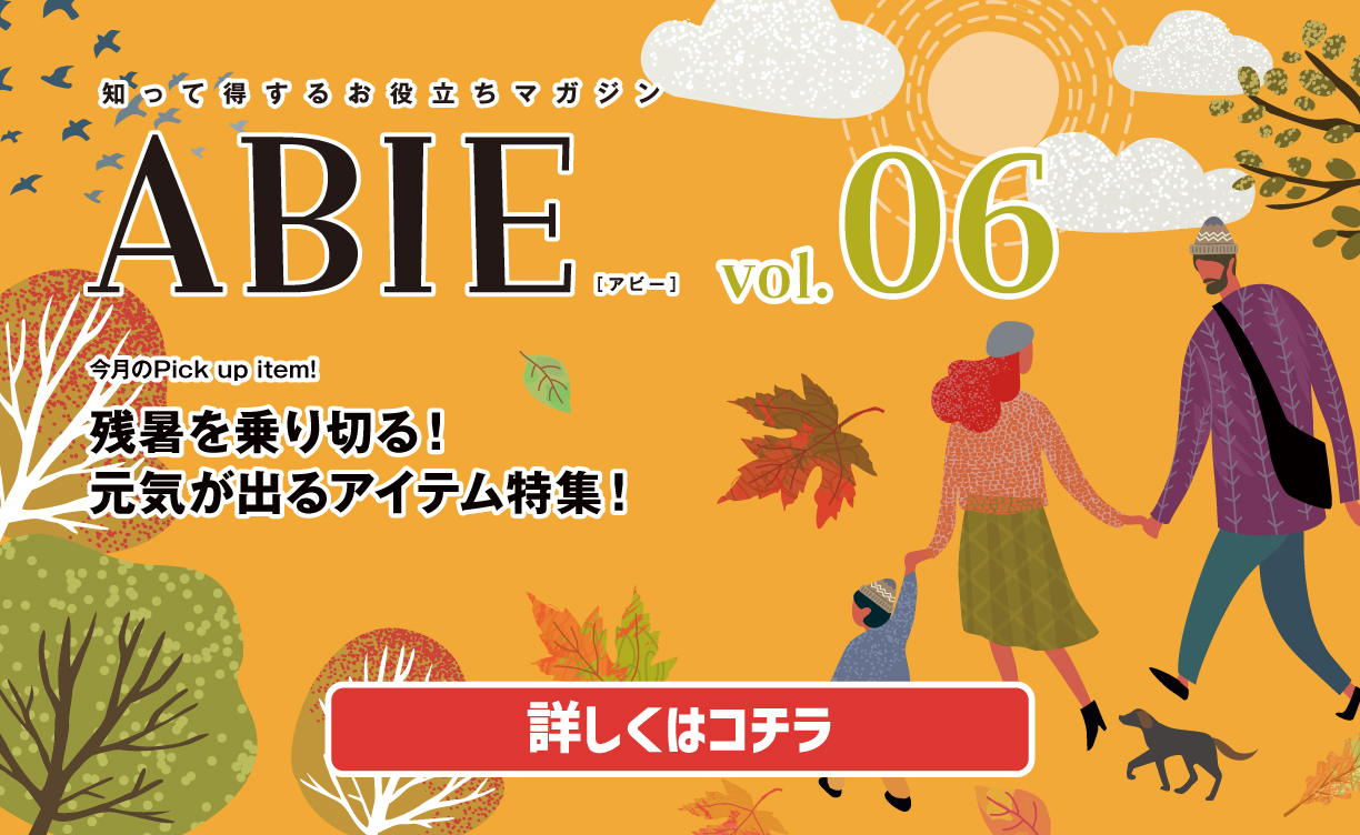 ABIE Vol.6